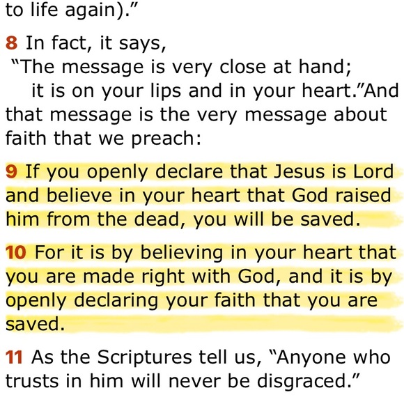 I'm Becca Alexis! Thanks for shopping my closet! - Picture 4 of 13